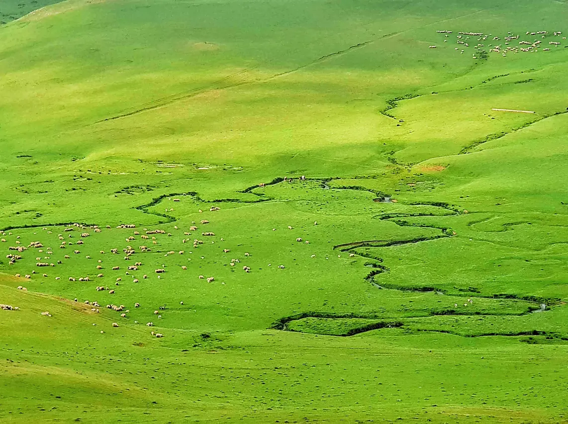 Perşembe Yaylası, Aybastı