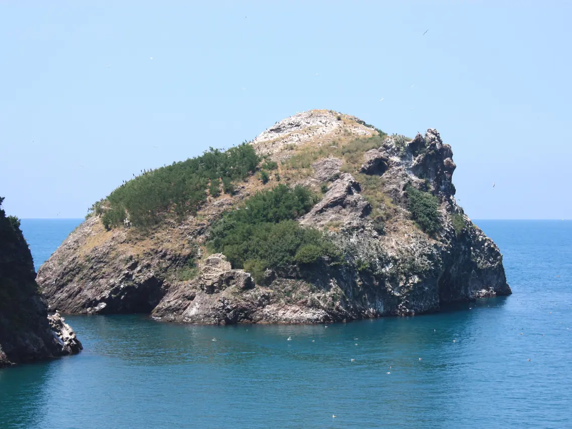 Hoynat Adası, Perşembe