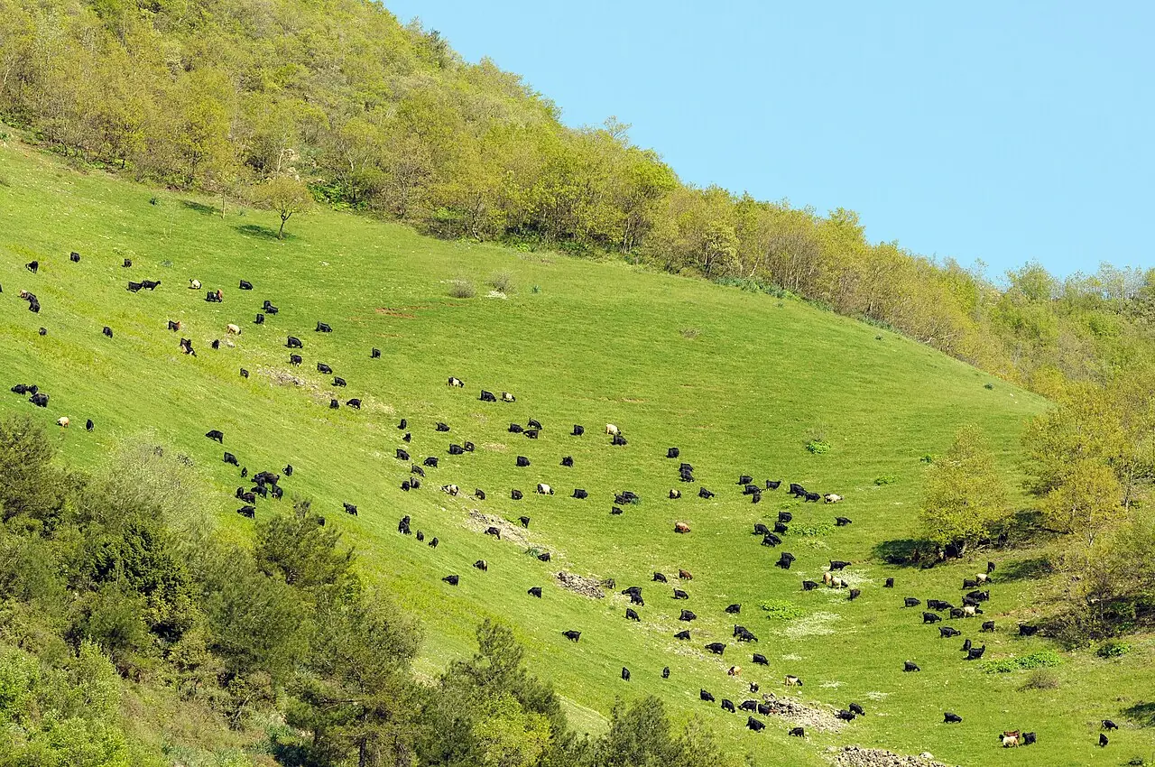 Hasanbeyli kırsalı, Osmaniye