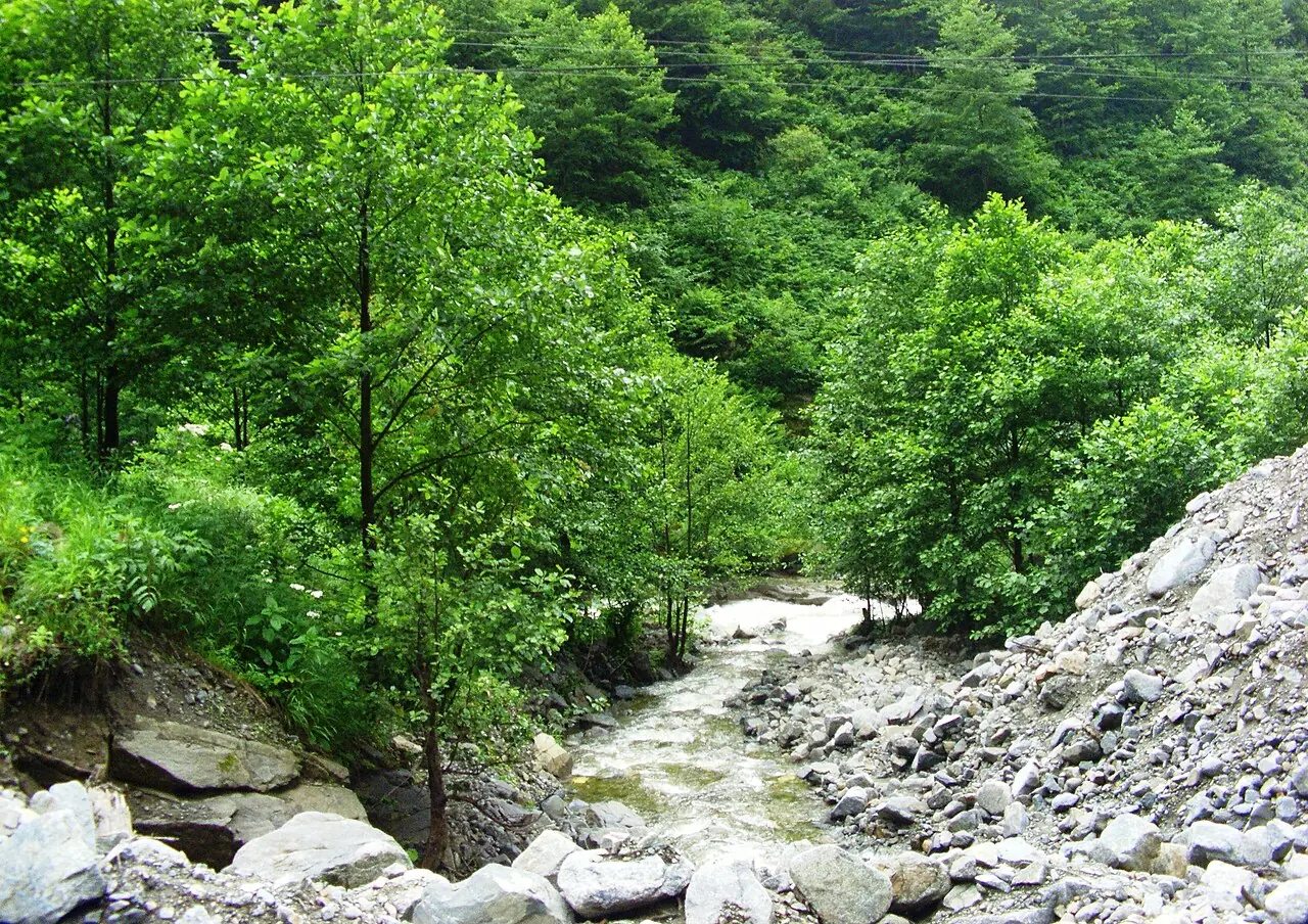 Fırtına Deresi, Rize