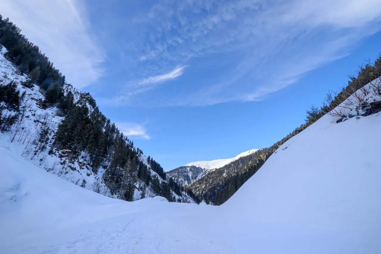 Galer Düzü–Ayder yolu, Çamlıhemşin, Rize