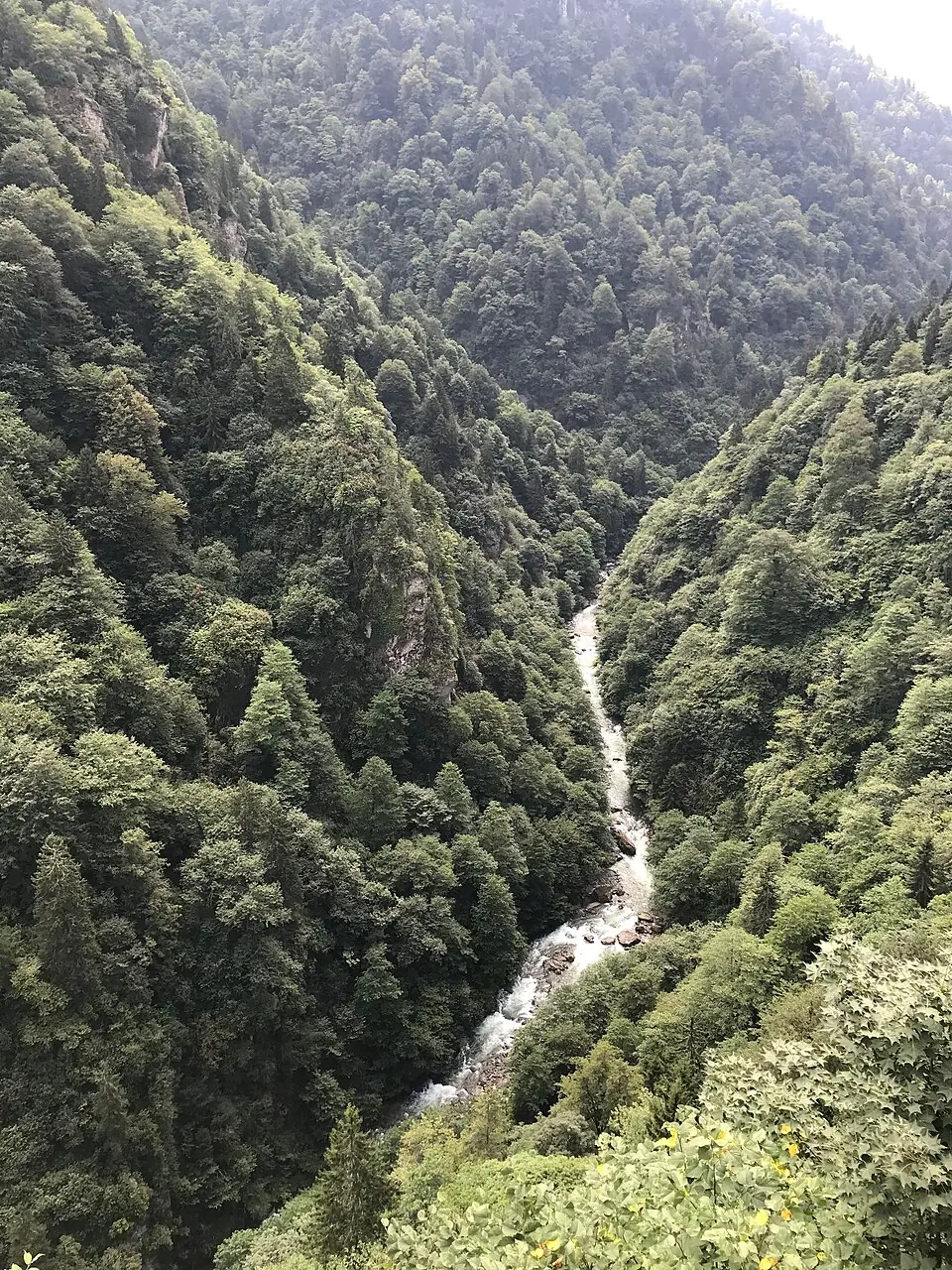 Zil Kale’den Fırtına Vadisi görünümü, Rize