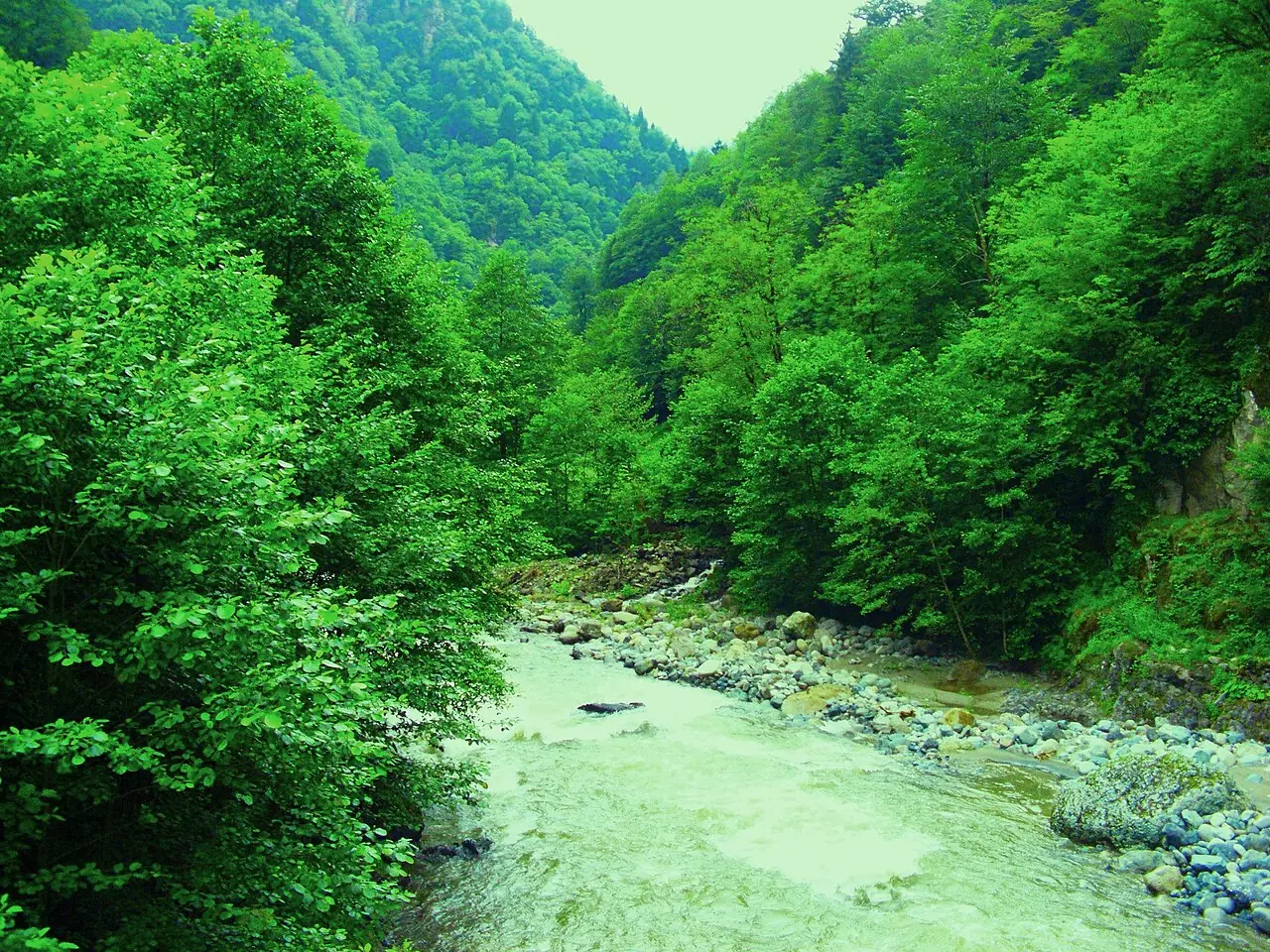 Fırtına Vadisi, Rize