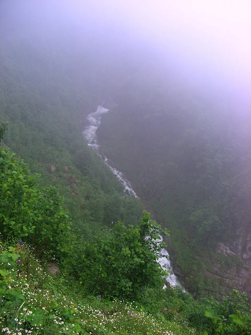 Fırtına Deresi ve dağ vadisi, Rize