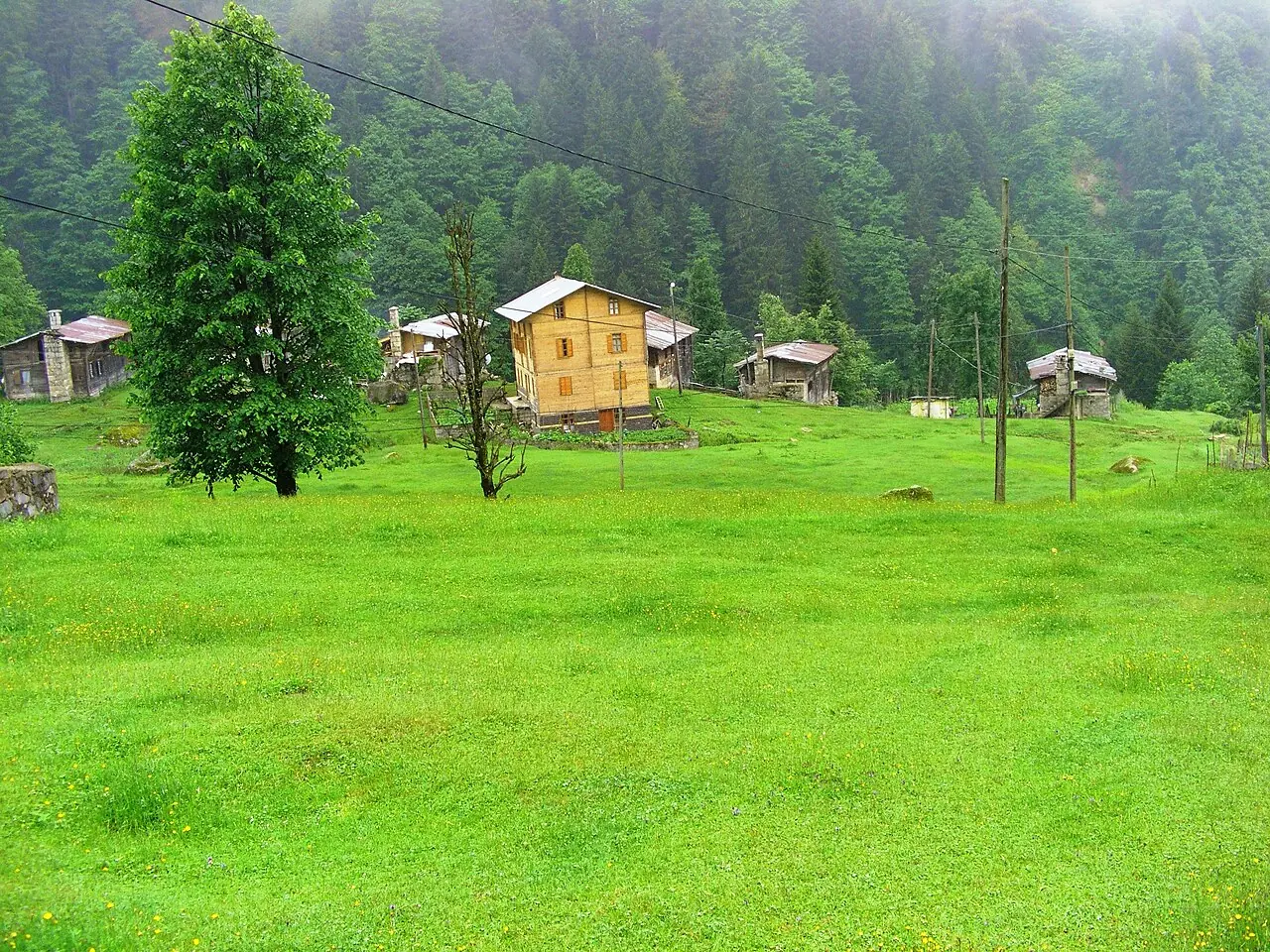 Ayder Yaylası, Çamlıhemşin, Rize
