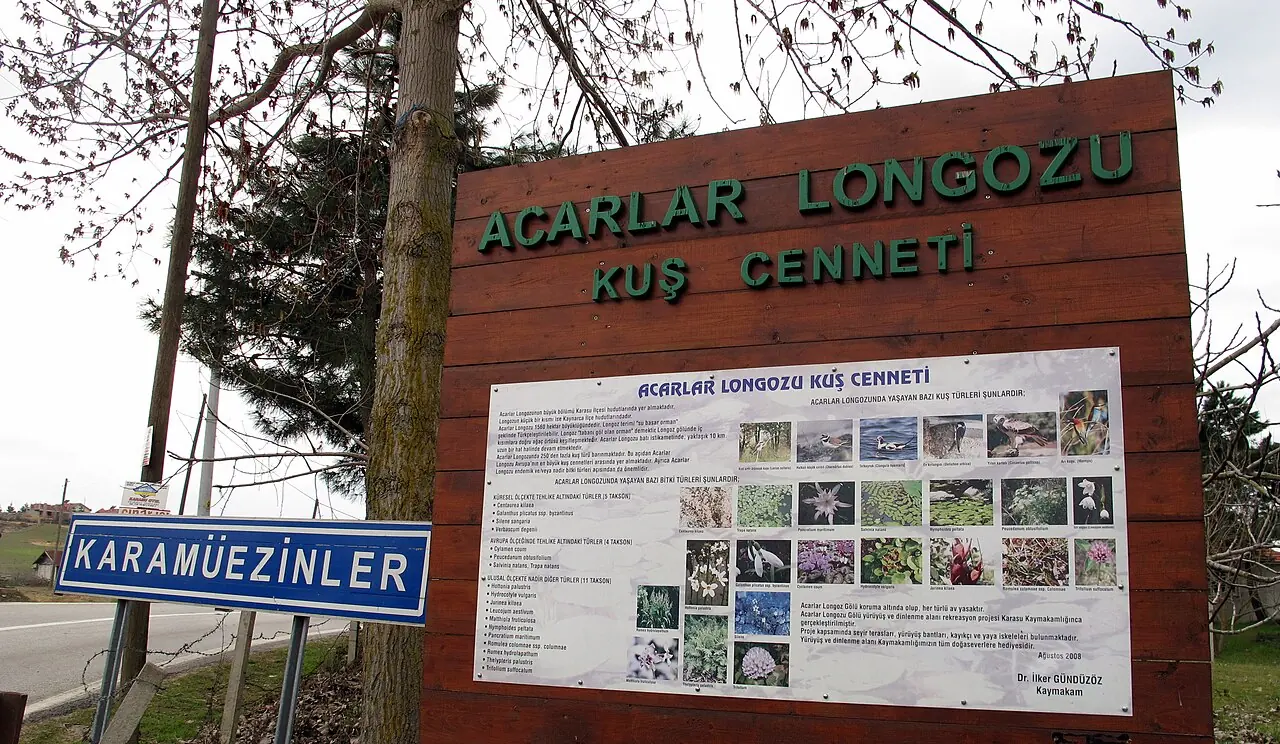 Acarlar Longozu, Karasu–Kaynarca / Sakarya