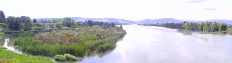 Kızılırmak Deltası, Bafra