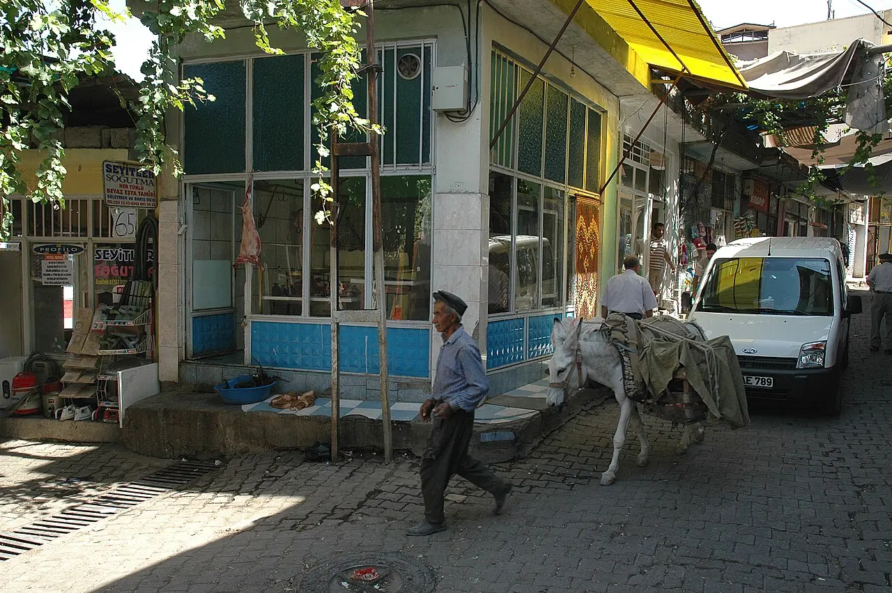 Siirt şehir merkezi
