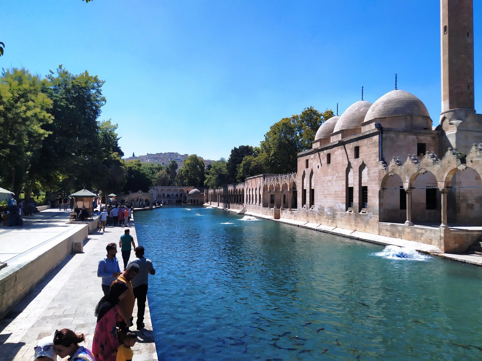 GAP Turları