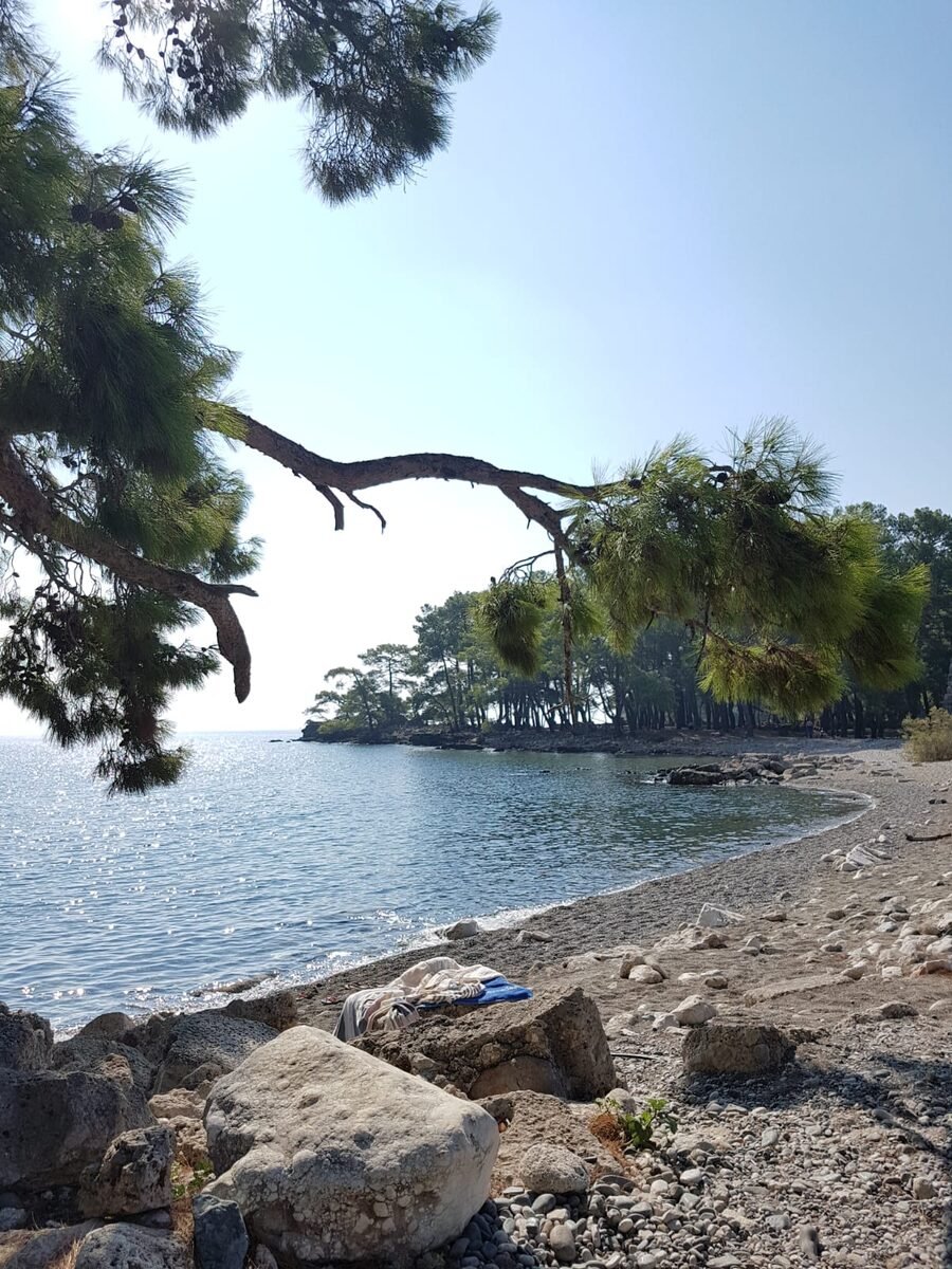 Antalya / Kemer: 2 Dalış ve Öğle Yemeği Dahil Scuba Dalış Deneyimi